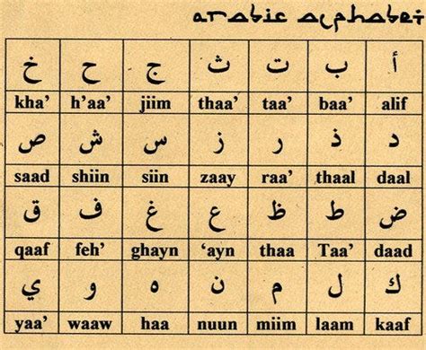 10 Interesting Facts About The Arabic Language Dadafish Medium