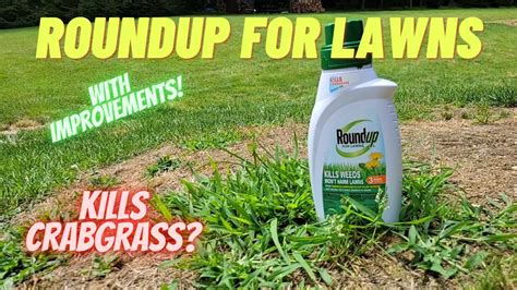 Roundup For Lawns W Improvements For Killing Crabgrass Youtube