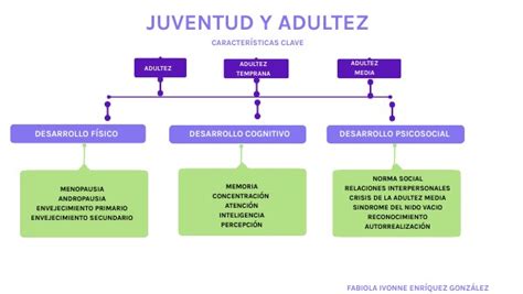 Mapa Conceptual Juventud Y Adultez