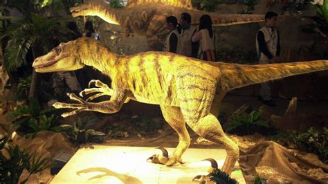 Were Velociraptors Smarter Than Dogs