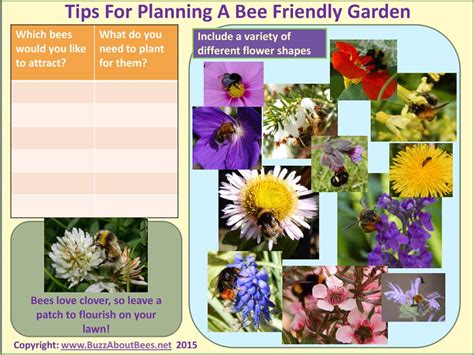 Planning A Bee Friendly Garden Pdf Guide Tips To Attract More Bees