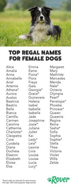 The Top 100 Female Dog Names Of 2019 Female Dog Names Puppies Names