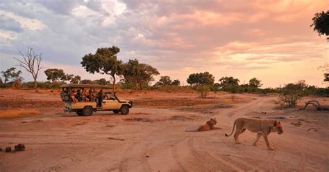 Moremi Game Reserve Botswana Safari Safari Information For Your