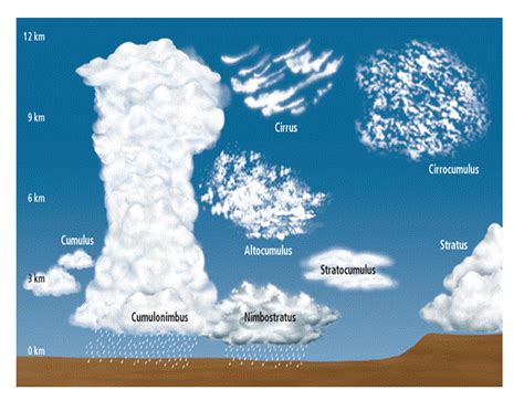 Great Cloud Chart To Print Off And Take Outside