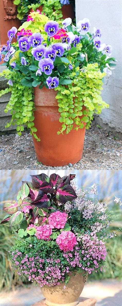 Colorful Mixed Pots Flower Gardening With 30 Plant Lists Container
