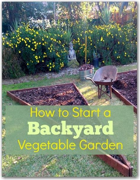 Decide what you'd like to grow. Backyard vegetable gardens, Vegetable garden and ...