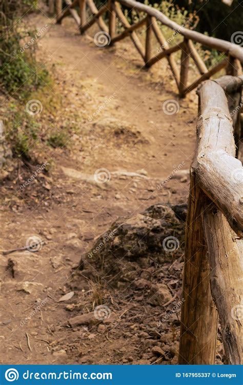 Earthen Path With A Wooden Fence A Tourist Path Laid In The Gorge Of
