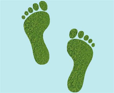 Se suele medir en hectáreas globales (hag) por habitante y año. ¿Cómo se calcula la huella ecológica? | Diario Ecologia