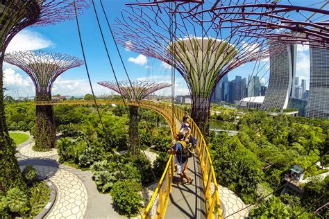 What To See And Do At Singapores Gardens By The Bay
