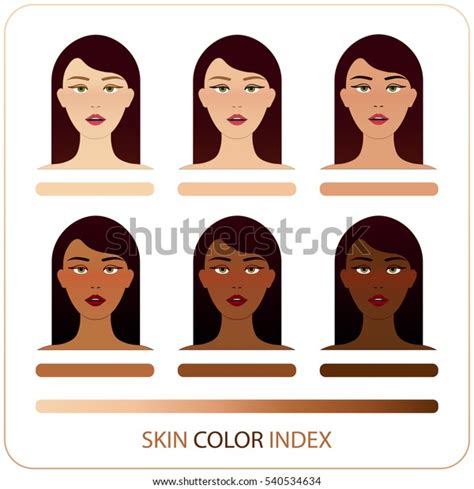 Skin Color Index Infographic Vector Brunette Stock Vector Royalty Free