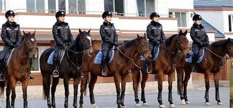 Dalians Mounted Policewomen In Full Leather Uniform