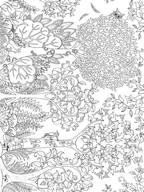 10 Printable Coloring Pages For Adults Nature Png Drawer