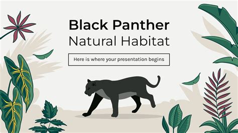Black Panther Habitat Map