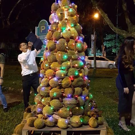 Untuk vas bunga dari ranting kayu, saya sudah posting di artikel sebelumnya. Unik, Pohon Natal Garin Nugroho Terbuat dari Durian ...