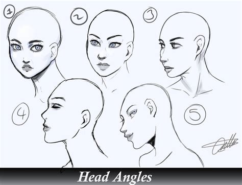 Head Angles Study By Rozuburakku On Deviantart