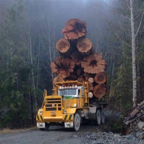 Truckin Logging Equipment Big Rig Trucks Big Trucks