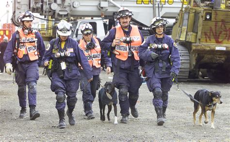 911 Rescue Dogs