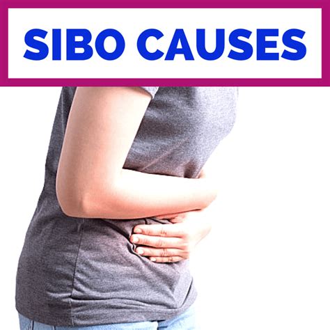 Sibo Causes Pure And Simple Nourishment