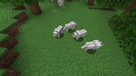 How To Breed Wolves In Minecraft 119