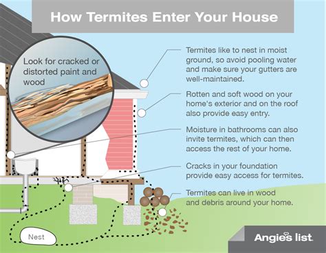 For less than $2 a year, you can get rid of pests in your home! Termite Extermination | Best Defense Pest Control - Hartford Connecticut