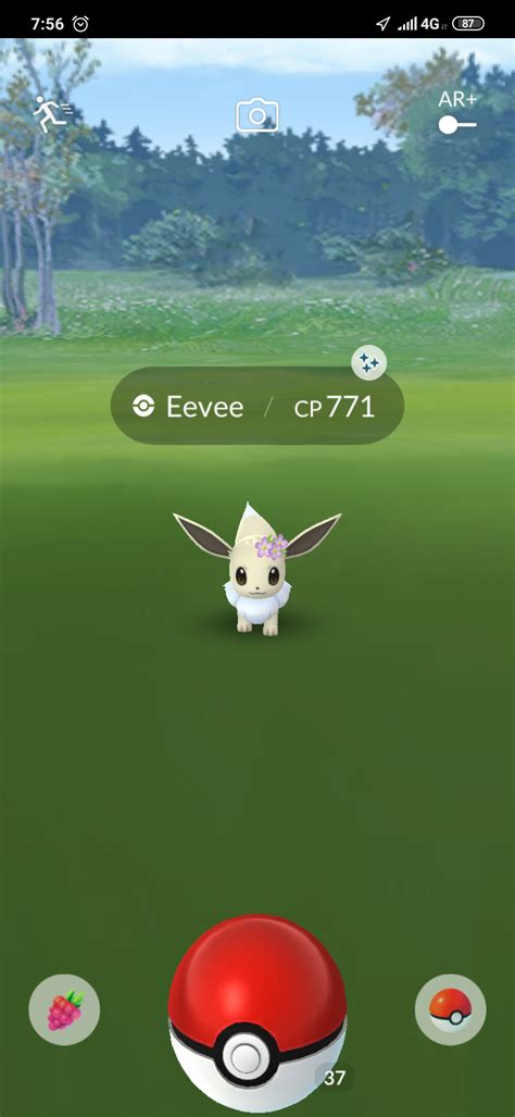 Shiny Flower Crown Eevee From The London Pokemon Store Event R