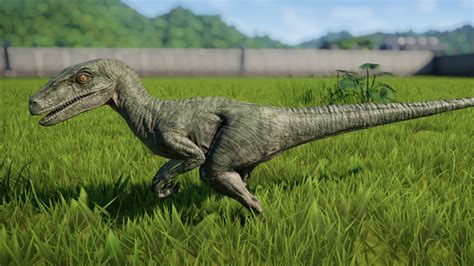 Velociraptor Jurassic World Evolution Wiki Fandom Velociraptor Jurassic Park Movie