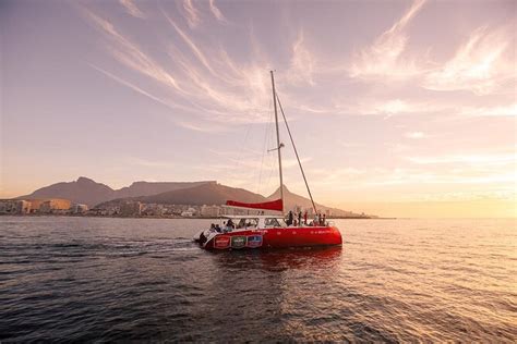 Catamaran Sunset Champagne Cruise Cape Town 2022 Viator