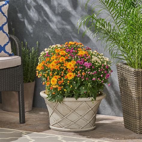 At collections etc., we offer hundreds of beautiful, fun and whimsical items to add to your favorite outdoor space. Ibrahim Outdoor Lattice Patterned Light weight Concrete Garden Urn Planter with Lipped Edge ...