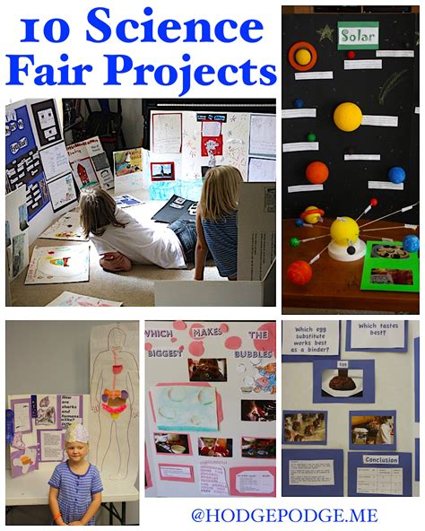 Grade 8 Best Science Fair Proect Ideas