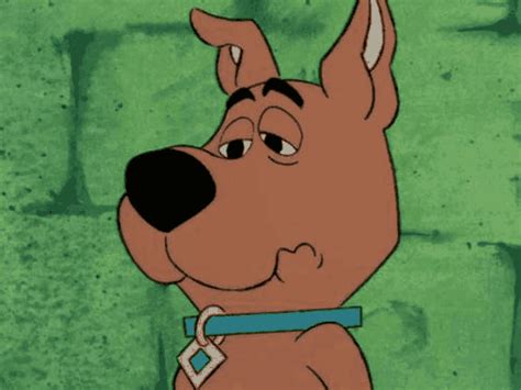 Ranking All The Scooby Doo Tv Shows Because There Are Actually Way
