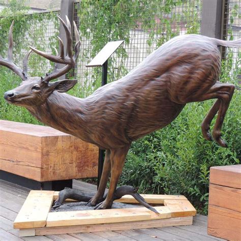 Bronze Whitetail Deer Sculpture For Sale Seventreesculpture