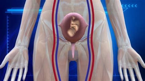 Us Uterus Transplants Experimental Surgery Could Help Infertile