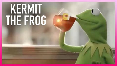 Watch The Kelly Clarkson Show Highlight Kermit The Frogs