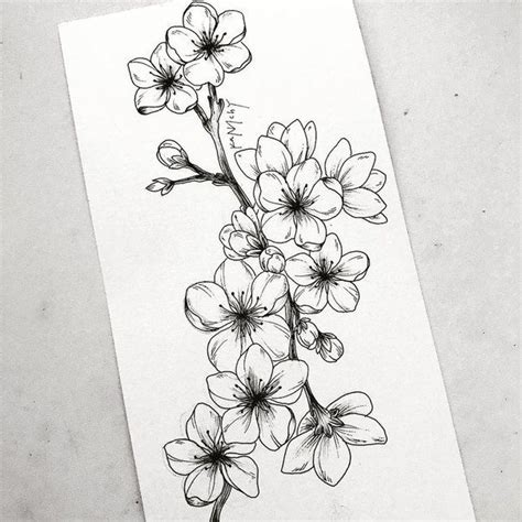 Pin By Ketrin Pitsugov On Rando Time Flower Drawing Branch Drawing