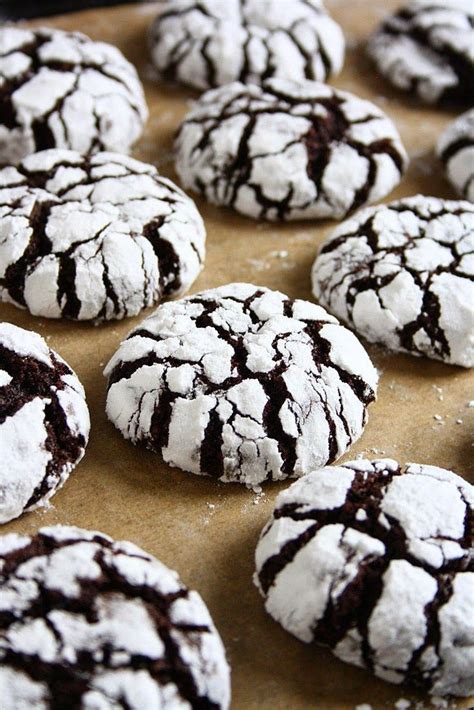 The Best Chocolate Christmas Cookies With Powdered Sugar
