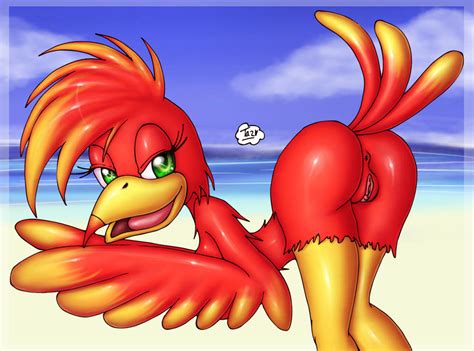 Rule 34 1girls Anthro Anus Ass Avian Banjo Kazooie Bent Over Breegull