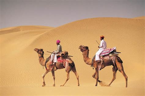 Camels are known as the ship of the desert in view of the straightforwardness at which they exquisitely move over the desert sands. Dubai Camel Riding | VooTours Tourism
