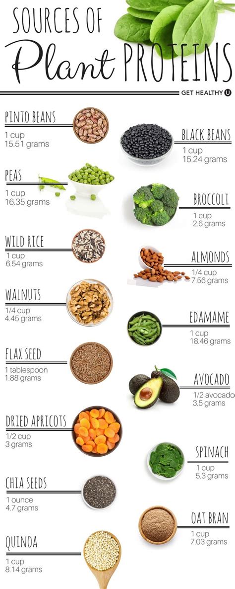Foods with a higher protein density provide more protein per calorie. Best 35 Vegetarian Protein Rich Foods - Best Round Up ...