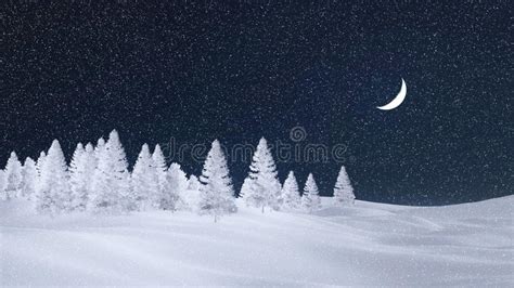 Frosty Spruce Forest At Snowfall Night With Moon Stock Photo Image Of