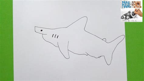 How To Draw A Blacktip Shark Youtube
