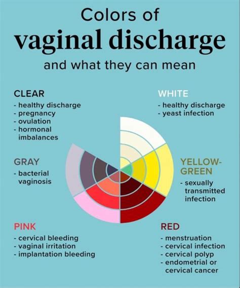 Vaginal Discharge Chart Glow Community