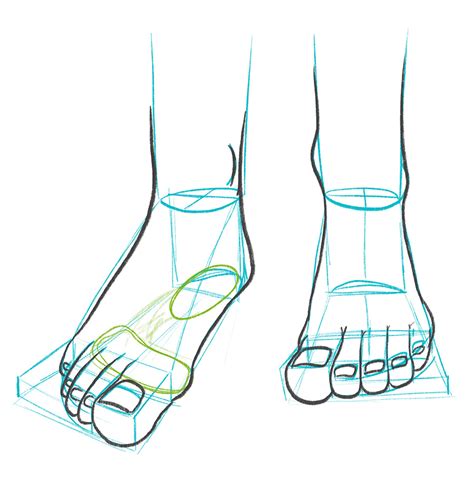 How To Draw Feet With Shoes Front View Learn How To Draw