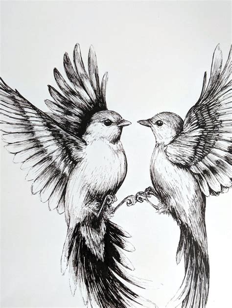 Flying Birds Art Print Realistic Bird Drawing Etsy In 2020 Bird