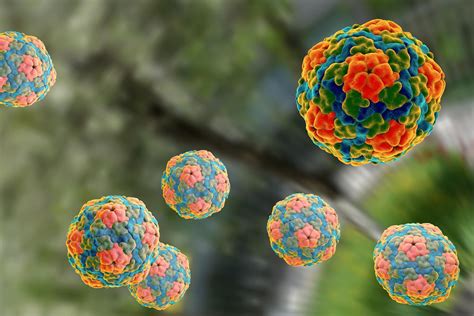 Hepatitis A Medlineplus En Español
