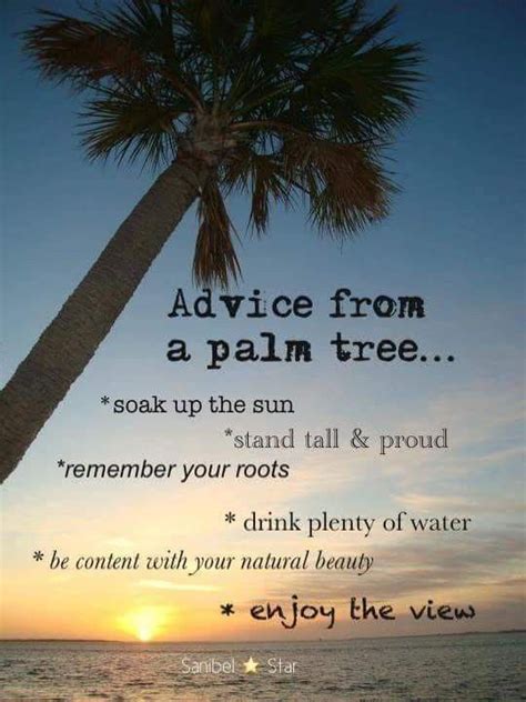 Pin By Madeline Jones On Ocean And Sea Palm Tree Quotes Tree Quotes