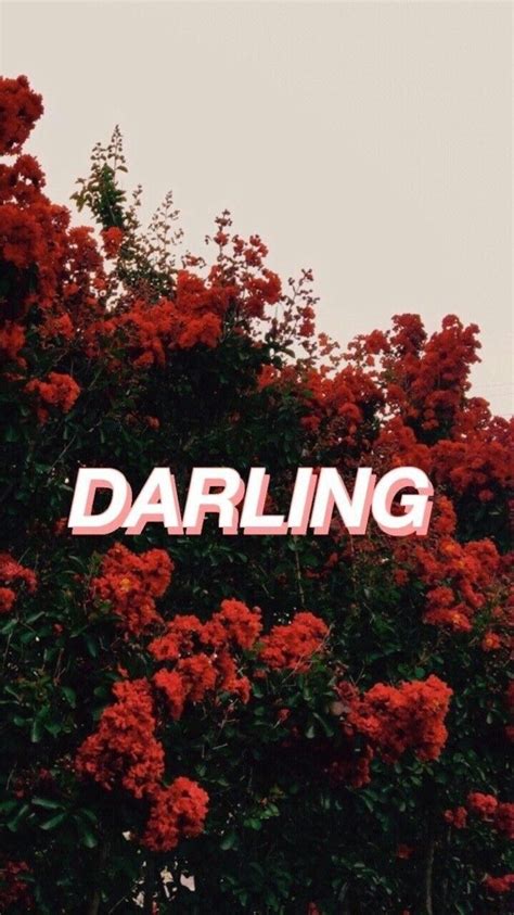 Lock Screen Quotes Wallpaper Landscape Aesthetic | Quotes and Wallpaper Y