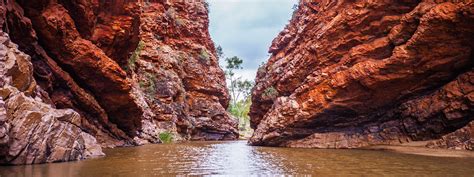 63,788 likes · 5,484 talking about this · 75 were here. Tours & Transfers between Ayers Rock & Alice Springs ...