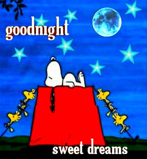 スヌーピーgood Night Good Night Greetings Good Night Hug Snoopy And