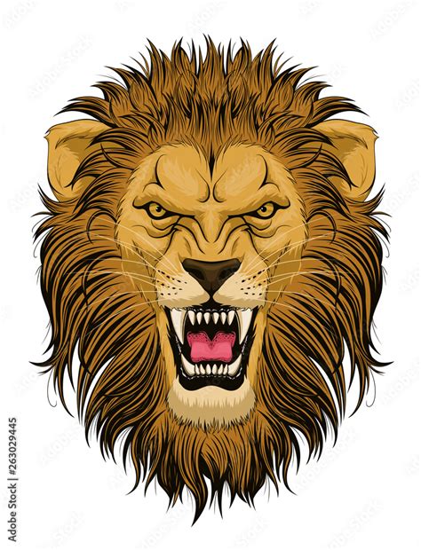 Roaring Lion Head Stock Vector Adobe Stock