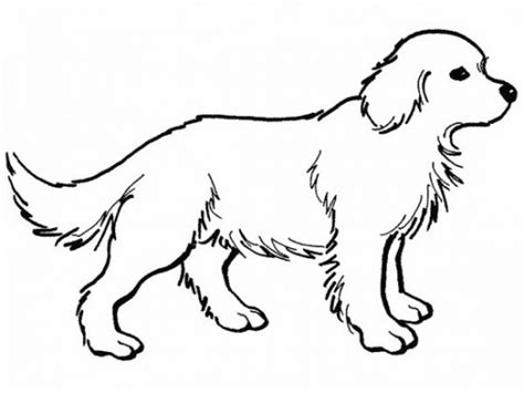 The students solve these problems, then find their answers in a grid in order to color a bunny. Mean Dog Coloring Pages at GetDrawings | Free download